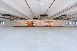 PLUS (D1), Office #559336501